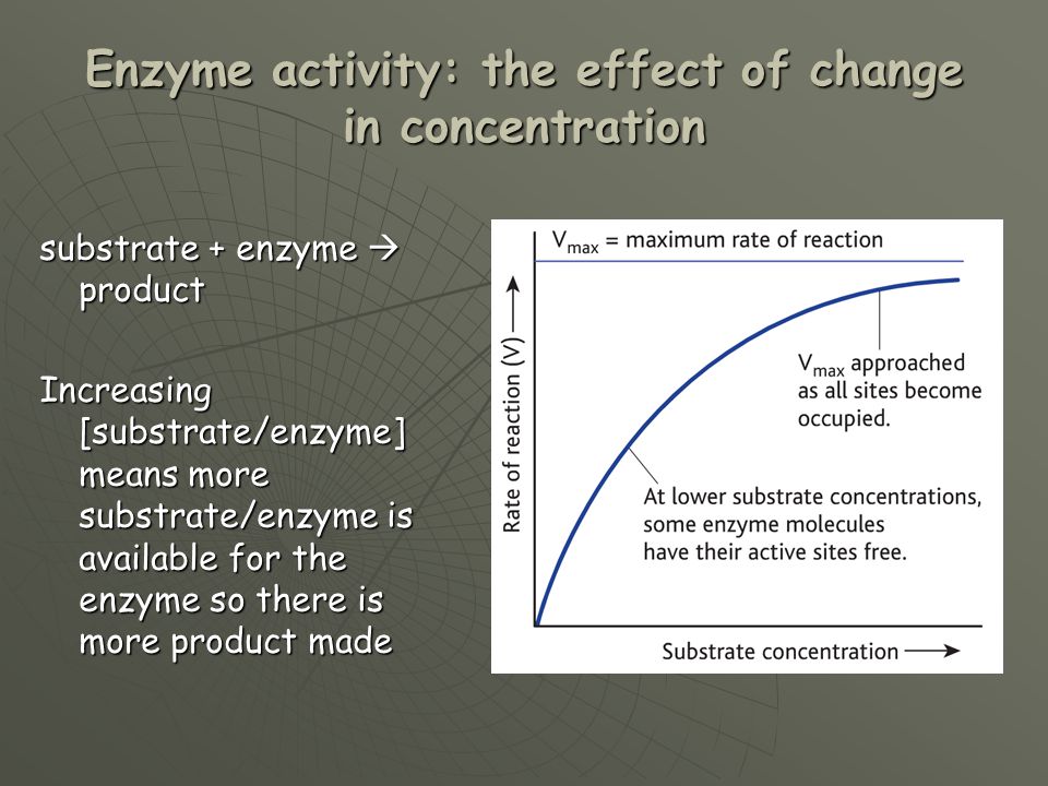 Effect of substrate concentration on enzyme activity experiment